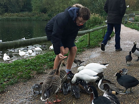 Feeding ducks at Pensthorpe